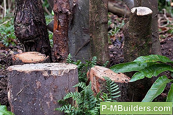 How To Diy A Stumpery