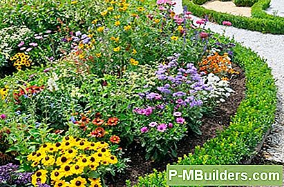 Vad Att Plantera I Front Garden Borders