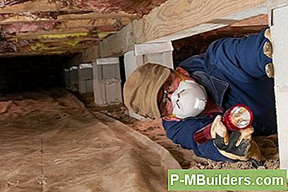 Suche Und Identifizierung Von Crawlspace Schimmel