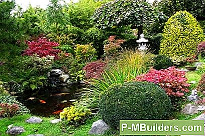 Classic Japanese Tea Gardens