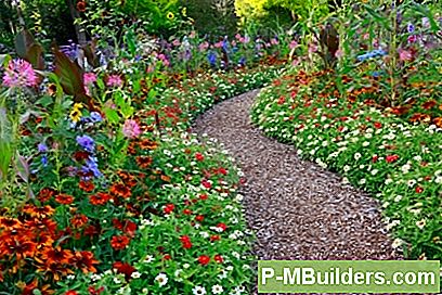 Designing Garden Promenader Och Pathways
