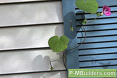 Guide Till Blommande Vines