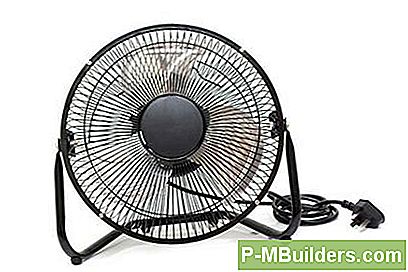 Fans