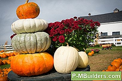Din Ultimate Fall Pumpkin Guide
