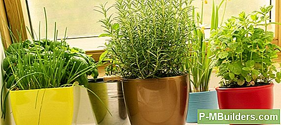 4 Diy Wege, Nachhaltiger Zu Leben
