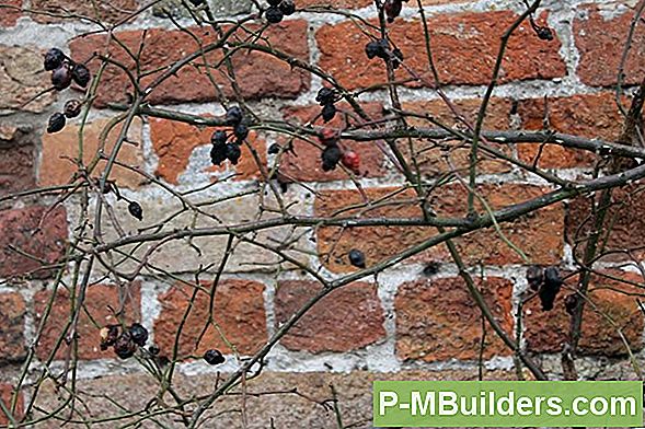 Aufbau Eines Raised Garden Systems