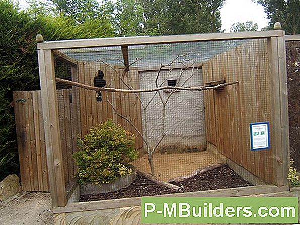 Diy Butterfly House I 5 Steg