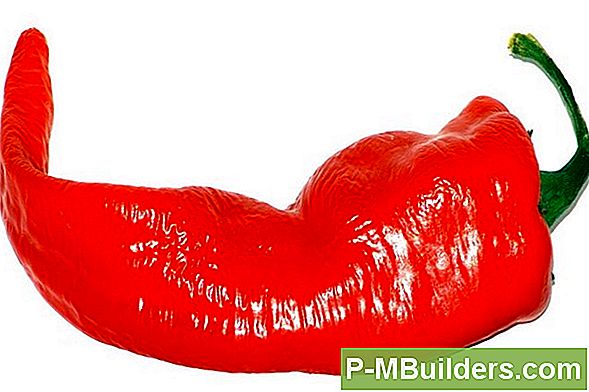 Høst Cayenne Peppers