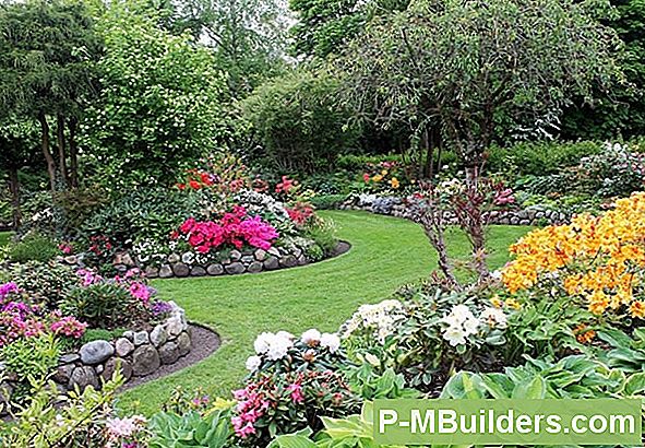 Planter Til Companion Plant Med Gerber Daisies