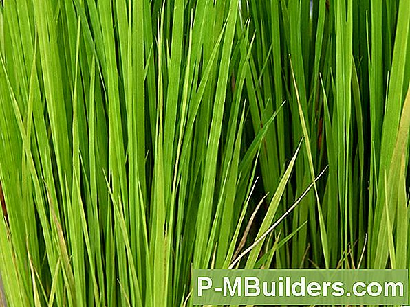 Tang Og Grass Clipping Compost