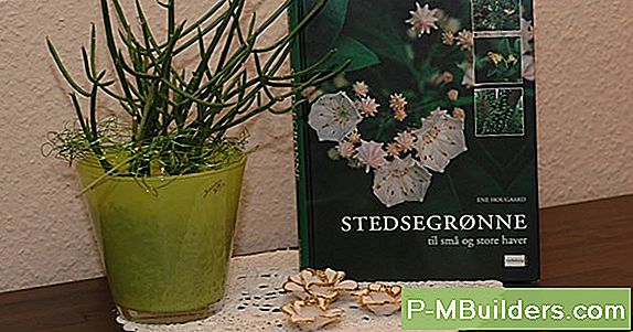 Jordlösningar - Korrigering Av Manganbrister