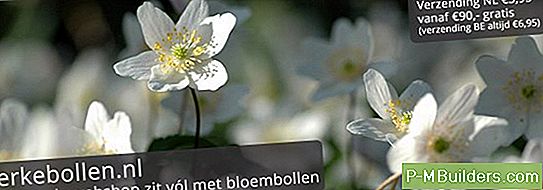 Opfleuren Romeinse Motieven Met Handgeschilderde Ontwerpen