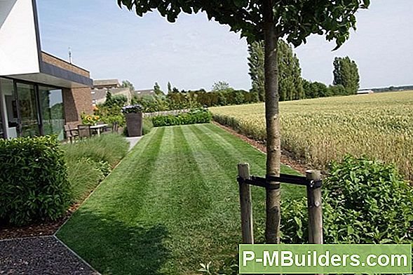 Voordelen Van Een Achtertuin Kippenhok