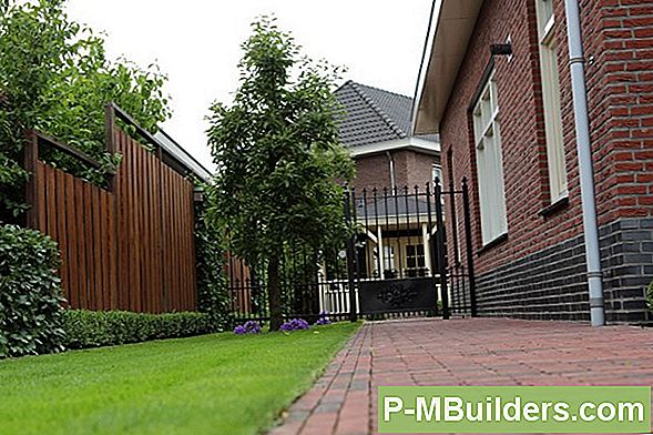 3 Verschillende Soorten Perenboom Te Overwegen