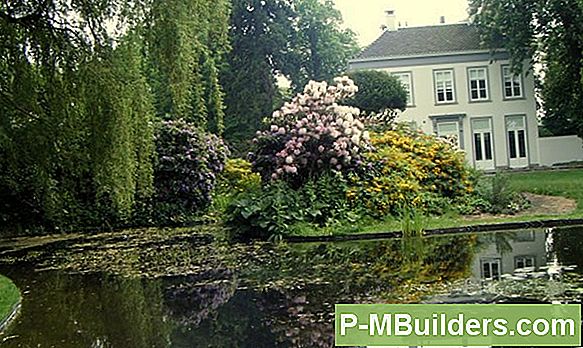 Een Bloembed Bouwen Rond Een Boom