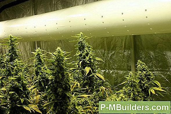 Een Kweekruimte Voor Hydrocultuur Tuinieren Ontwerpen