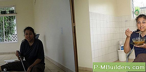Ga Weg Van Mieren Zonder Schadelijke Huisdieren