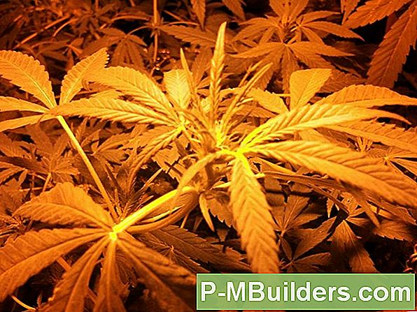 Zelfgemaakte Weed Killer Recept