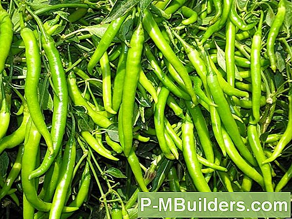 Grow Peppers Hydrocultuur