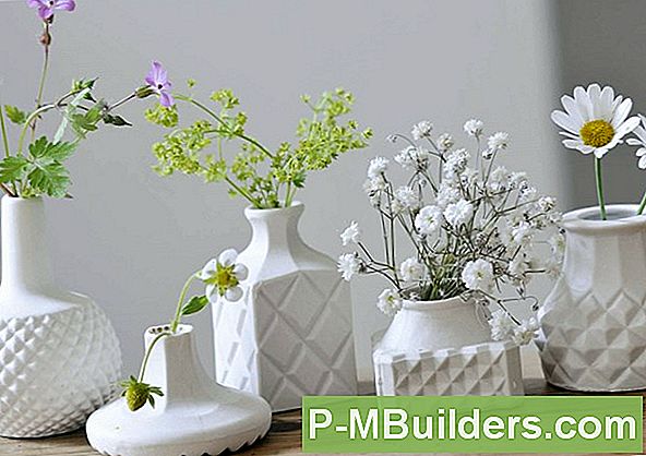 Tulpen In Een Pot Laten Groeien