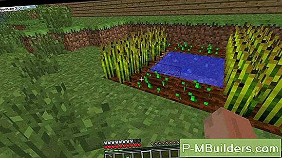 Hoe Oogst Je Je Vermicompost