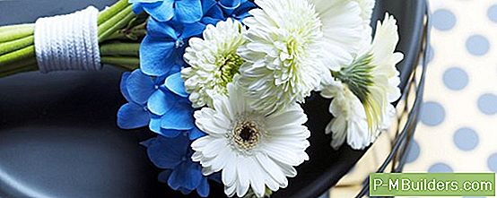 De Verschillende Variëteiten Van Columbine-Bloemen Kennen