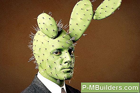 Een Star Cactus Onderhouden