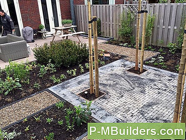 Plannen Wat U Wilt Van Uw Privacy Planten