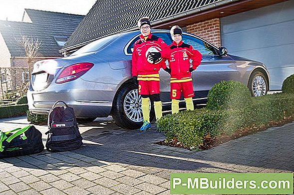 Bescherm Uw Jonge Oosterse Redbud Tegen Wind