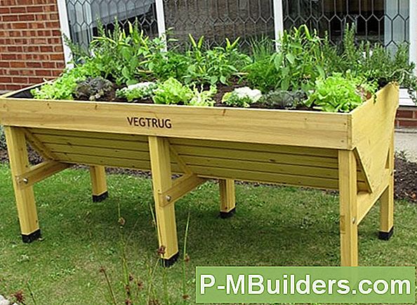 Groente Tuin Bed Bouw Stap Voor Stap
