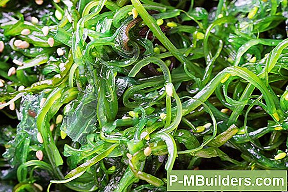 Zeewier Versus Gras Knipcompost