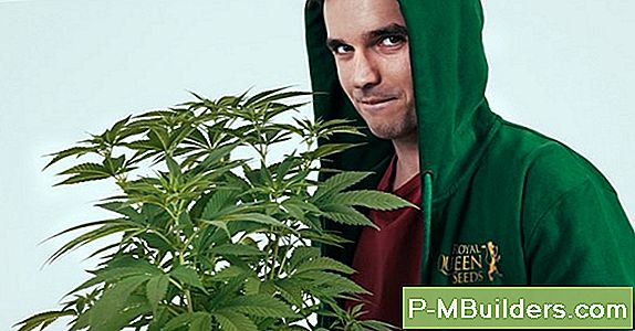 Tips Voor Het Kweken Van Weigela In Een Container