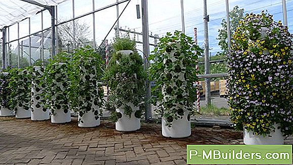 Werken Met Strawberry Planters