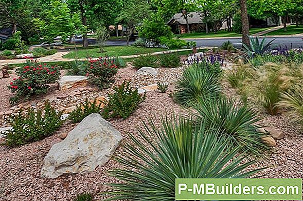 Xeriscule Trädgårdsskötsel: Gör Xerimulch