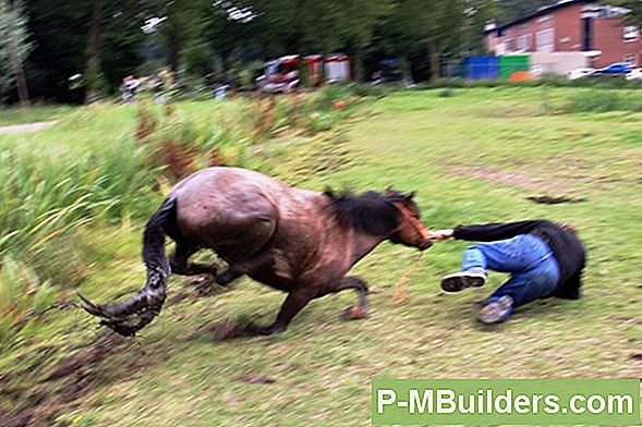 Hoe Een Muur Van Een Pony In Te Lijsten