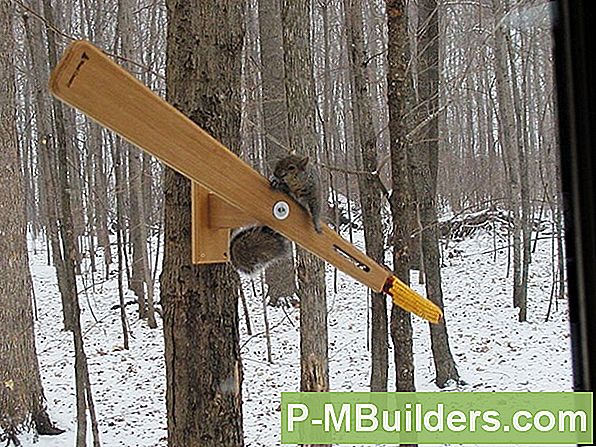 Kuidas Ehitada Spinning Orav Feeder