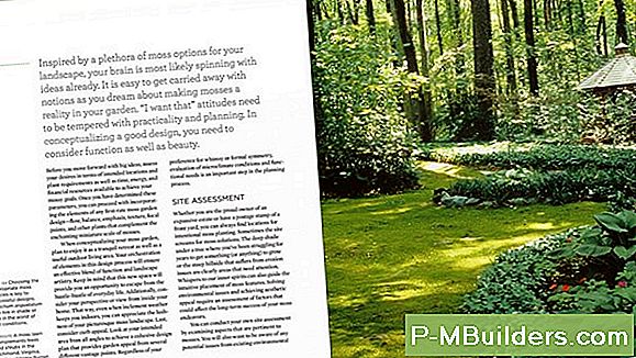 Moss Rose Pruning Tips