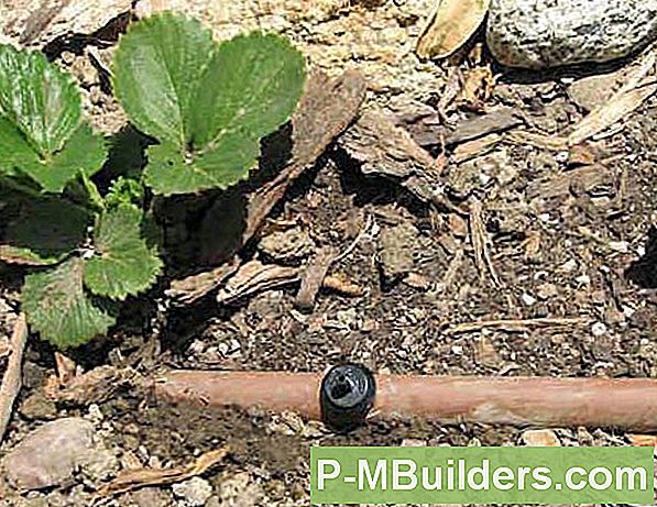 Paigaldamine Indoor Sprinkler System: Mida Vältida