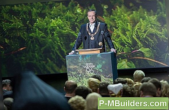 4 Külalist Loomavärvide Skeemid