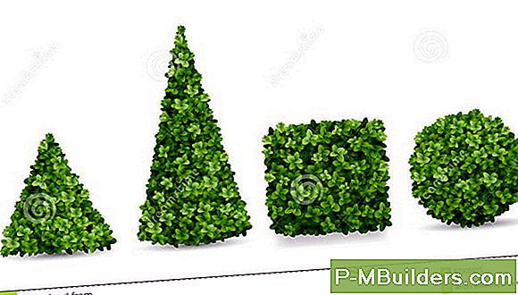 7 Topiary Tree Design Ideed