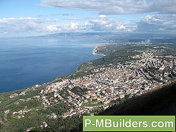 Palmi Puuviljad Oma Aias
