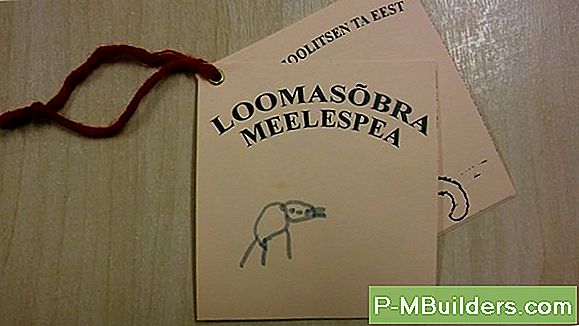 Kuidas Hoolitseda Graniidi Köögisaalide Eest
