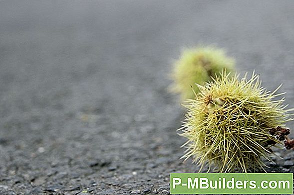 Buckeye Puu Siirdamine