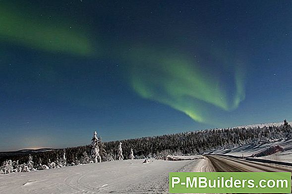 Norra Kruusa Puu Faktid Ja Hoolduse Näpunäited