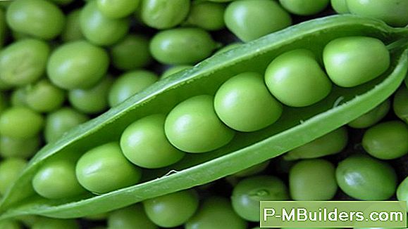 Pea Pod Kasvuprotsess