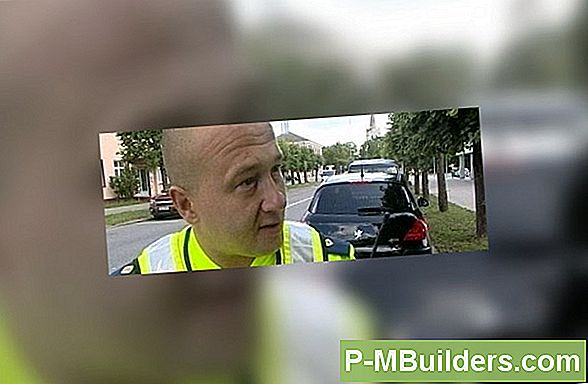 7 Küpsiste Termiiti Juhtimise Võimalused