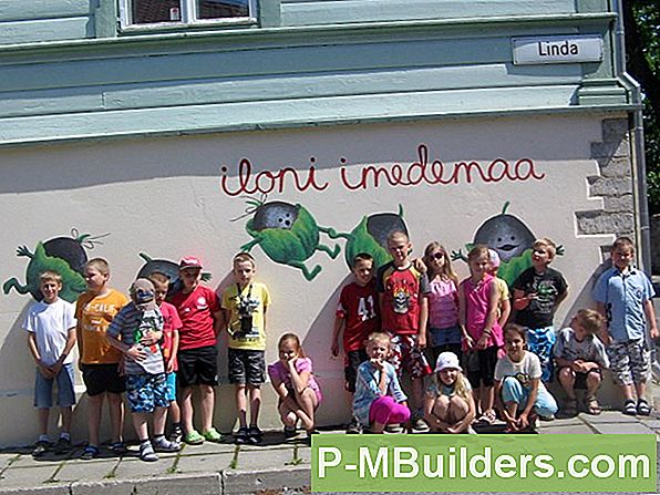 Koera Maja Ukse Ehitus Juhend