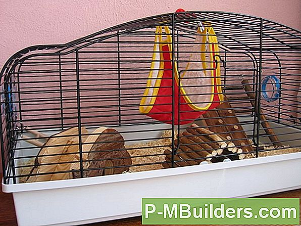 Hamster-Puuri Seadistamine