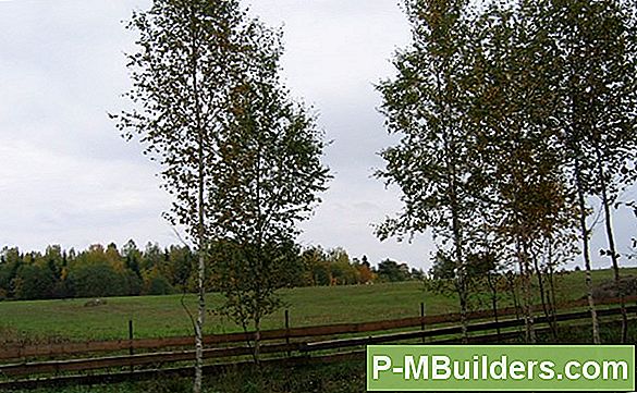 Hooldamine Katusekattematerjalide Eest