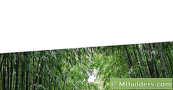 Schoonmaken Van Bamboo Furniture: 8 Onderhoudstips